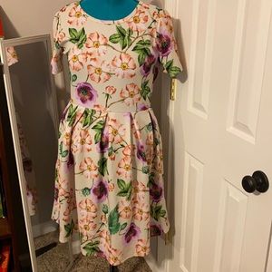 LuLaRoe Amelia size 2XL